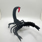 Black Scorpion